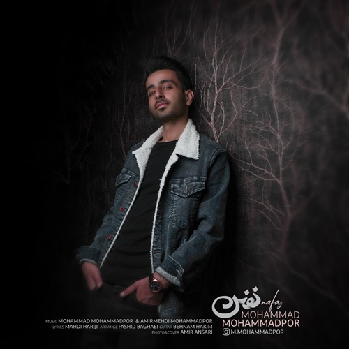 محمد محمدپور نفس